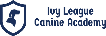 Ivy League Canine Academy