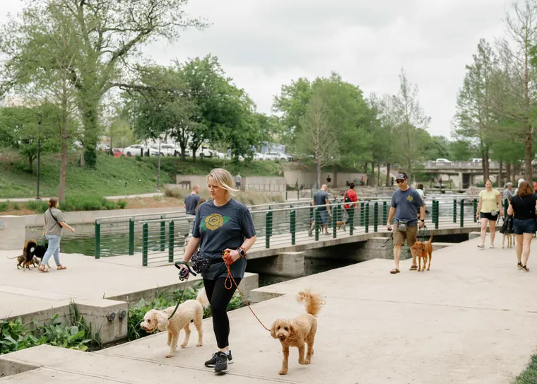 Small dogs walking on a loose leash along the San Antonio River Walk